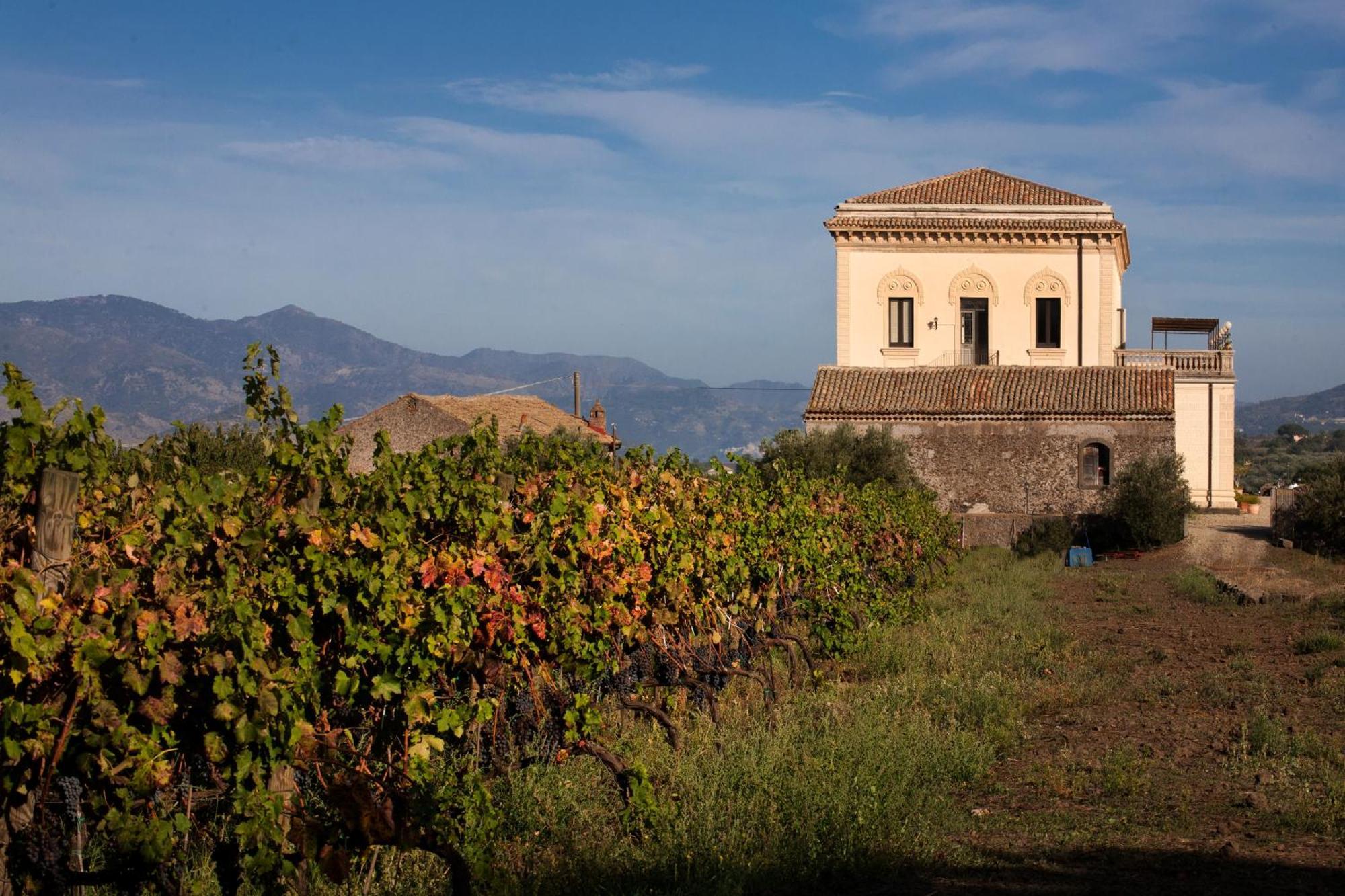 Feudo Vagliasindi -Wine Experience- Guest House Randazzo Ngoại thất bức ảnh