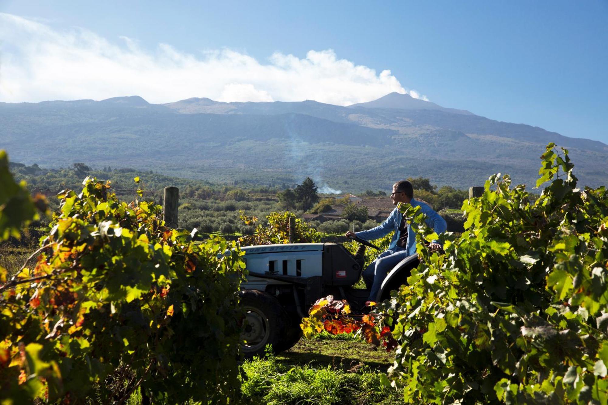 Feudo Vagliasindi -Wine Experience- Guest House Randazzo Ngoại thất bức ảnh