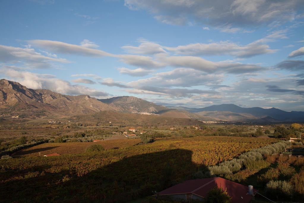 Feudo Vagliasindi -Wine Experience- Guest House Randazzo Ngoại thất bức ảnh