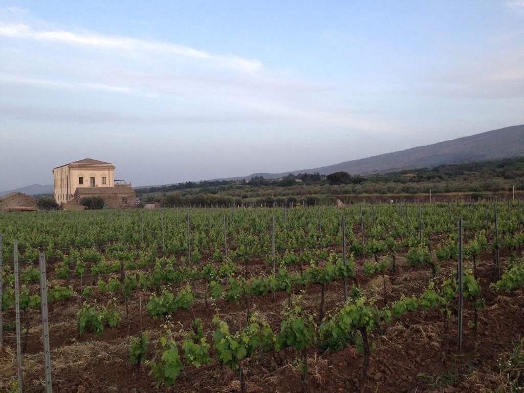 Feudo Vagliasindi -Wine Experience- Guest House Randazzo Ngoại thất bức ảnh