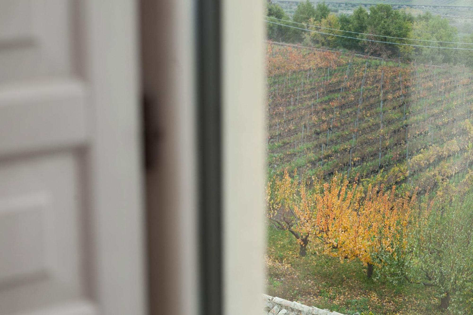 Feudo Vagliasindi -Wine Experience- Guest House Randazzo Ngoại thất bức ảnh